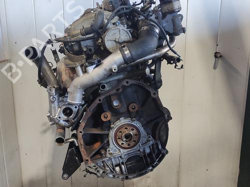 Engine NISSAN PRIMERA (P12)  | BP9436099M1 