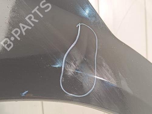 Left front fenders CITROËN C2 (JM_)  | BP16136500C41 