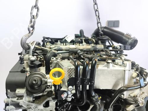 Engine SEAT TOLEDO IV (KG3) 1.6 TDI | BP33794573M1 - Image 15