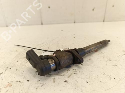 Injector FORD S-MAX (WA6) 2.0 TDCi | BP28128926M100 