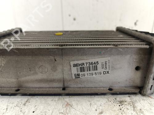 Intercooler OPEL ZAFIRA A MPV (T98)  | BP26914738M30 
