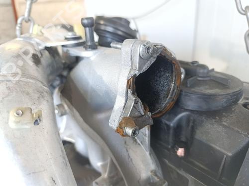 Motor SEAT LEON (1M1) 1.9 TDI | BP29490589M1 