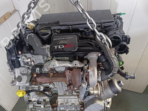 Engine FORD FIESTA V (JH_, JD_)  | BP19102546M1 