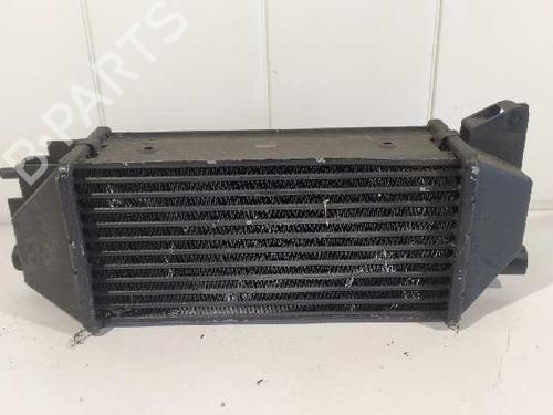 Intercooler LAND ROVER FREELANDER I (L314)  | BP6812171M30 