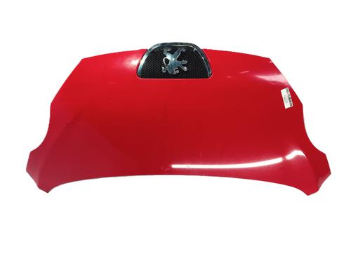 Panser Panser PEUGEOT 107 (PM_, PN_) 1.4 HDi (54 hp) 35783961 35783961