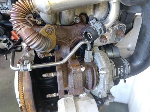 Engine SEAT IBIZA III (6L1) 1.4 TDI | BP29479915M1 