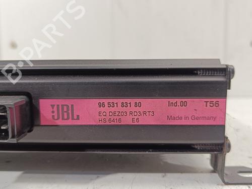 Electronic module PEUGEOT 307 CC (3B)  | BP21224895M83 