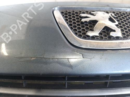 Front bumper PEUGEOT 307 SW (3H) 1.6 HDI 110 | BP29508851C7 