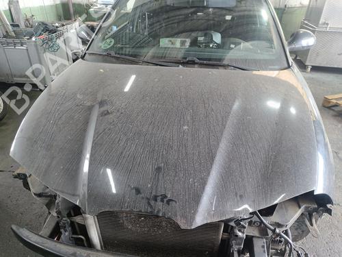 Used Hood SEAT IBIZA III (6L1) 1.9 TDI (100 hp) 29885935