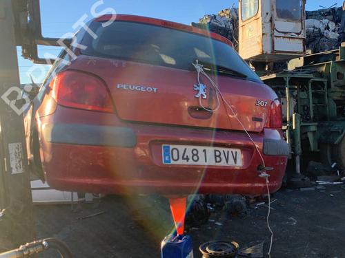 Tailgate handle PEUGEOT 307 (3A/C) 1.6 16V | BP9150845C132 