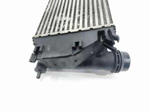 Intercooler RENAULT KADJAR (HA_, HL_) 1.6 dCi 130 4x4 (HLA4) | BP33690921M30  - Image 6