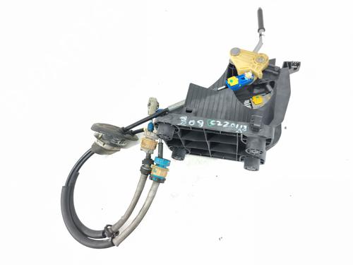 Gearstang Gearstang 36566959 36566959