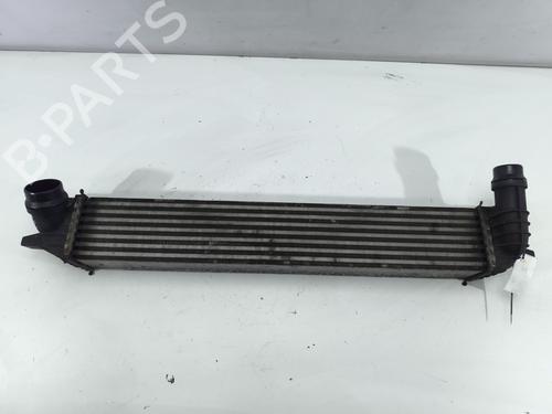 Used Intercooler Intercooler RENAULT LAGUNA III (BT0/1) 2.0 dCi (BT01, BT08, BT09, BT0E, BT0K, BT12, BT1C, BT1D,... (150 hp) 40184027 40184027