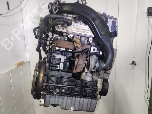 Engine SEAT IBIZA III (6L1) 1.9 TDI | BP8955185M1 