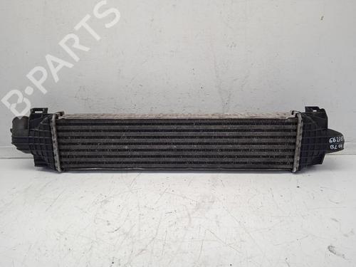 Intercooler FORD C-MAX (DM2) | BP4369009M30