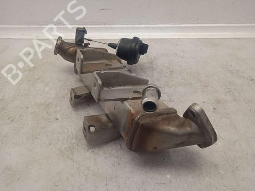 Used Egr NISSAN X-TRAIL II (T31) [2007-2018]  13963128