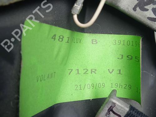 Steering wheel RENAULT SCÉNIC III (JZ0/1_)  | BP31664452C49 