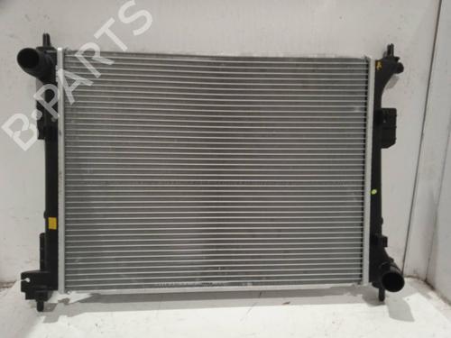 Used Water radiator Water radiator HYUNDAI SONATA V (NF) [2004-2014] 4315208 4315208