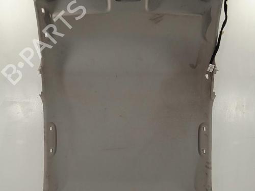 Hemelbekleding RENAULT CLIO IV (BH_) [2012-2021]  12321162