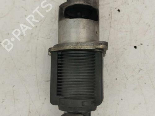 Used Egr RENAULT MEGANE II (BM0/1_, CM0/1_) [2001-2012]  19780805