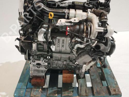 Used Engine FORD FIESTA VI (CB1, CCN) [2008-2026]  23990148