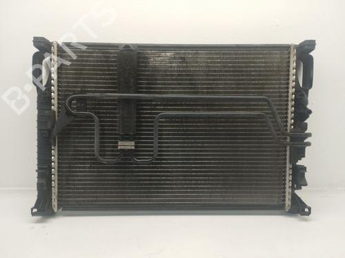 Wasserkühler für MERCEDES-BENZ E-CLASS (W211) [2002-2009]  31919541