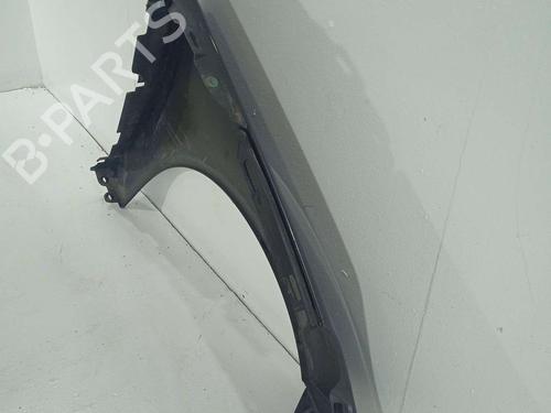 Left front fenders RENAULT SCÉNIC III (JZ0/1_)  | BP31807569C41 