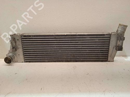 Used Intercooler RENAULT GRAND SCÉNIC II (JM0/1_) [2004-2009]  12446861