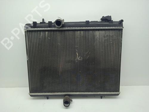 Used Water radiator Water radiator PEUGEOT 3008 I MPV (0U_) 1.6 VTi (120 hp) 35905904 35905904