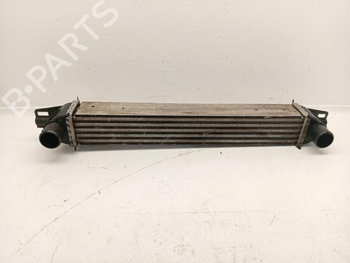 Used Intercooler Intercooler FIAT FIORINO Box Body/MPV (225_) 1.3 D Multijet (225BXD1A, 225BXB1A, 225BXB11) (75 hp) 40020328 40020328