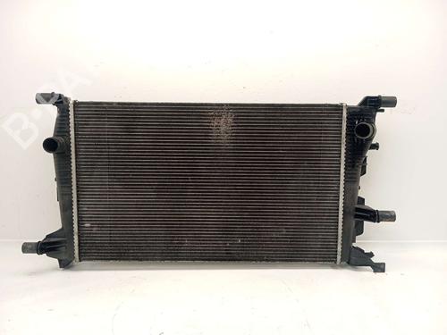 Used Water radiator Water radiator RENAULT SCÉNIC III (JZ0/1_) [2008-2016] 18086372 18086372