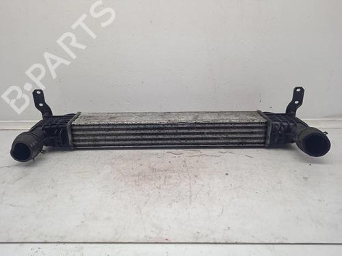 Used Intercooler SEAT ALHAMBRA (7V8, 7V9) [1996-2010]  11160117