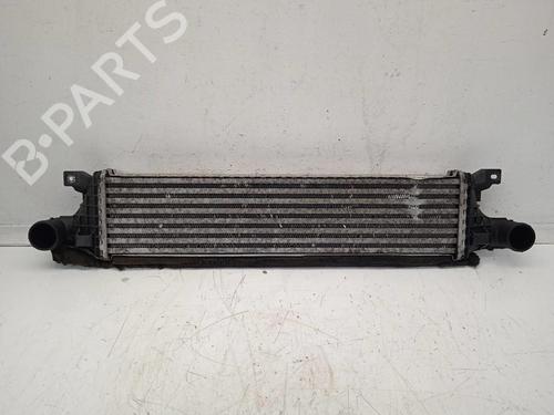 Used Intercooler JAGUAR X-TYPE I (X400) 2.0 D (130 hp) 13523257
