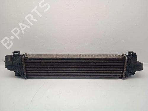 Intercooler FORD S-MAX (WA6) | BP22755891M30