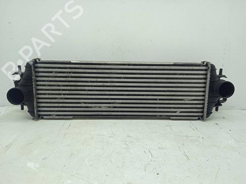 Used Intercooler Intercooler NISSAN PRIMASTAR Van (X83) [2002-2026] 11215017 11215017