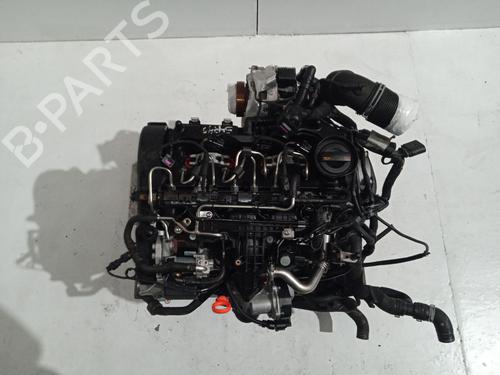 Engine SEAT IBIZA IV (6J5, 6P1) 1.6 TDI | BP31774994M1 