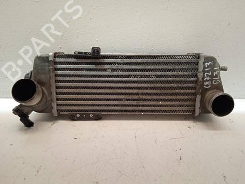 Used Intercooler Intercooler HYUNDAI i30 Estate (FD) 1.6 CRDi (116 hp) 4369661 4369661