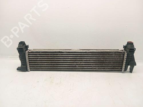 Intercooler MERCEDES-BENZ VITO Van (W447) | BP31620006M30