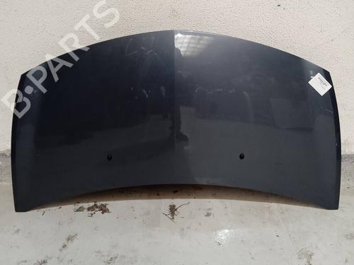 Used Hood RENAULT CLIO III (BR0/1, CR0/1) 1.5 dCi (C/BR0G, C/BR1G) (68 hp) 4347910