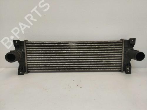 Used Intercooler SSANGYONG KYRON 2.0 Xdi (141 hp) 18548520
