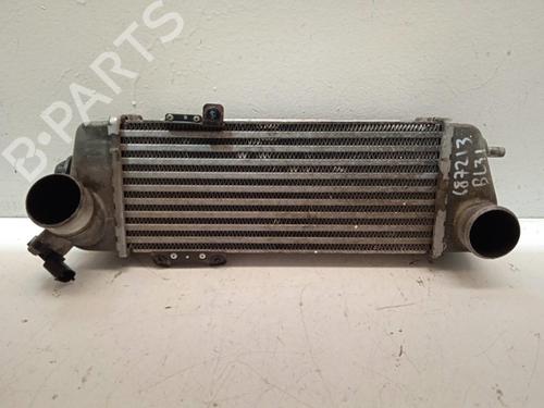 Used Intercooler HYUNDAI i30 Estate (FD) 1.6 CRDi (116 hp) 4369661
