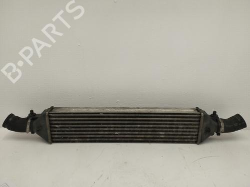 Used Intercooler FIAT BRAVO II (198_) 1.9 D Multijet (198AXB1A) (120 hp) 21849641