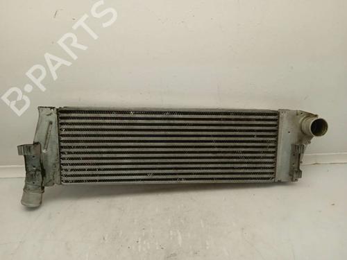 Used Intercooler Intercooler RENAULT MEGANE II Saloon (LM0/1_) 1.5 dCi (LM02, LM13, LM2A) (101 hp) 11154768 11154768