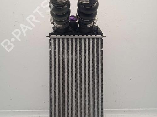 Used Intercooler Intercooler DS DS 3 / DS 3 CROSSBACK (UR_, UC_, UJ_) 1.5 BlueHDi 130 (UCYHZR) (130 hp) 16933122 16933122