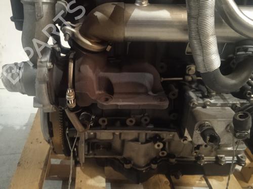 Engine FORD FOCUS I (DAW, DBW)  | BP4316566M1 
