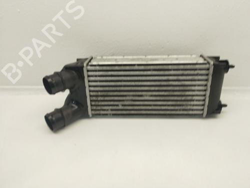 Used Intercooler Intercooler CITROËN BERLINGO / BERLINGO FIRST MPV (MF_, GJK_, GFK_) 1.6 HDI 90 (MF9HX) (90 hp) 40096858 40096858