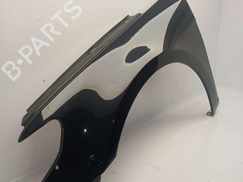 Left front fenders VW PASSAT CC B6 (357) | BP26032447C41