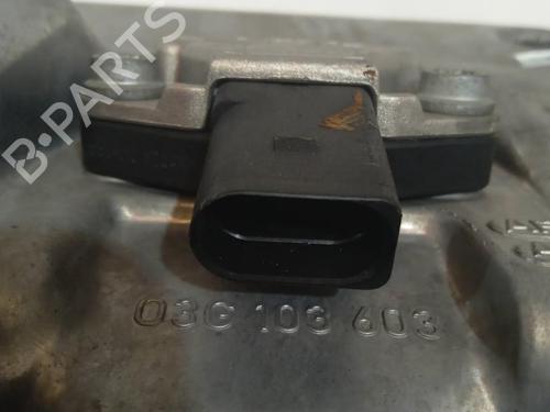 Oil sump VW PASSAT B6 (3C2) 2.0 TDI 16V | BP13962900M115