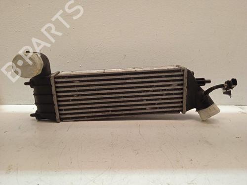 Intercooler PEUGEOT 807 (EB_) [2002-2026]  4336057