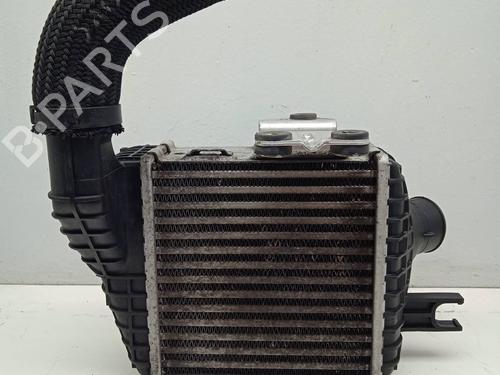 Used Intercooler Intercooler KIA SPORTAGE II (JE_, KM_) [2004-2011] 15824101 15824101